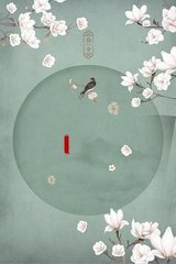 午夜8050二级一级